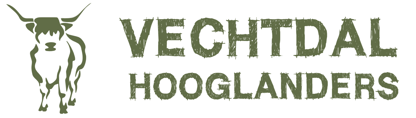 Vechtdal Hooglanders